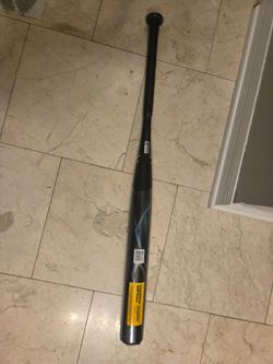 Easton Fire Fly -12 Fastpitch Softball Bat, 31 in