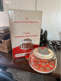 Automatic egg incubator