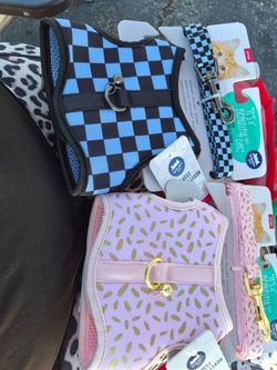 Pet collar and leash set