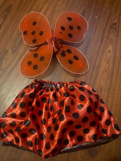 Ladybug Halloween Costume Set Wings and Skirt