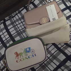 Brand New Tory Burch & Coach rainbow belt bag READ DESCRIPTION
