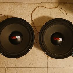 10inch Mid Range Speakers