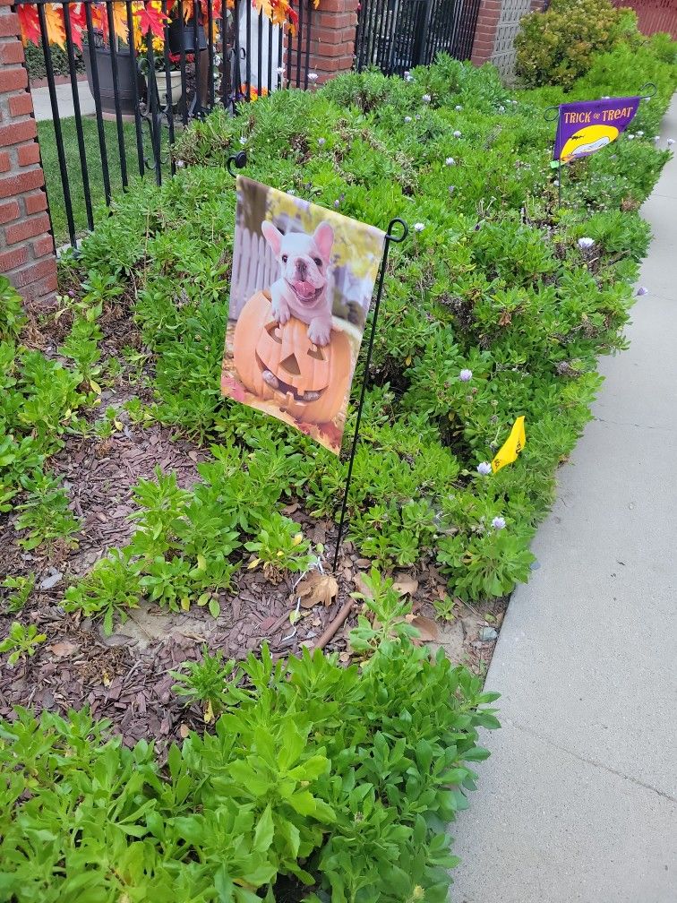 Fall Flag With Stand