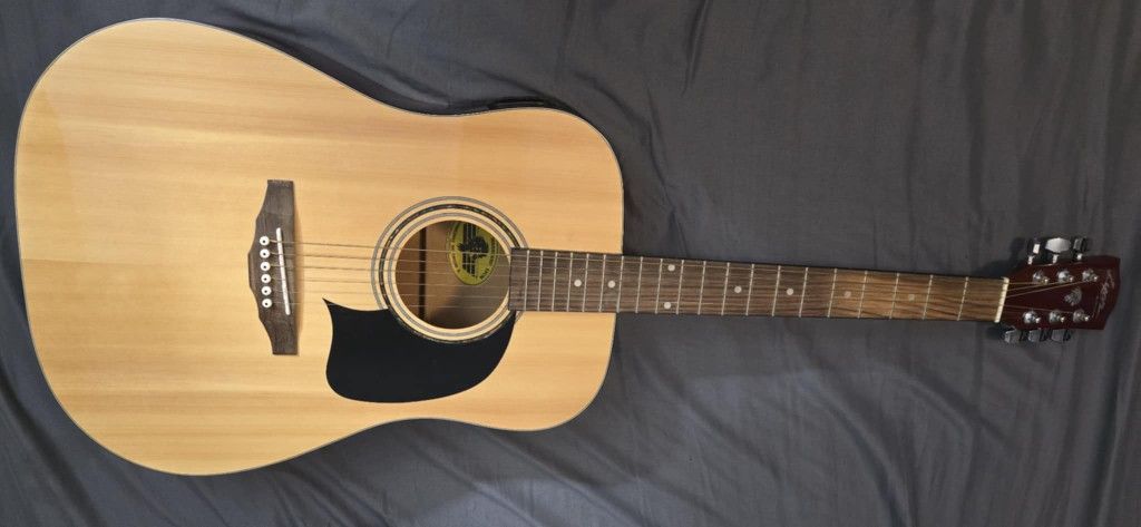 LYON ACOUSTIC GUITAR $89