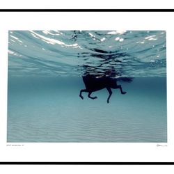 Large Framed Photo Ocean 