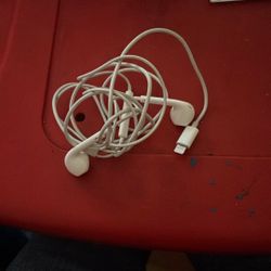 Real Apple Air Pods 
