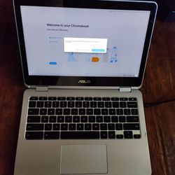 12.5" ASUS Chromebook Flip C302