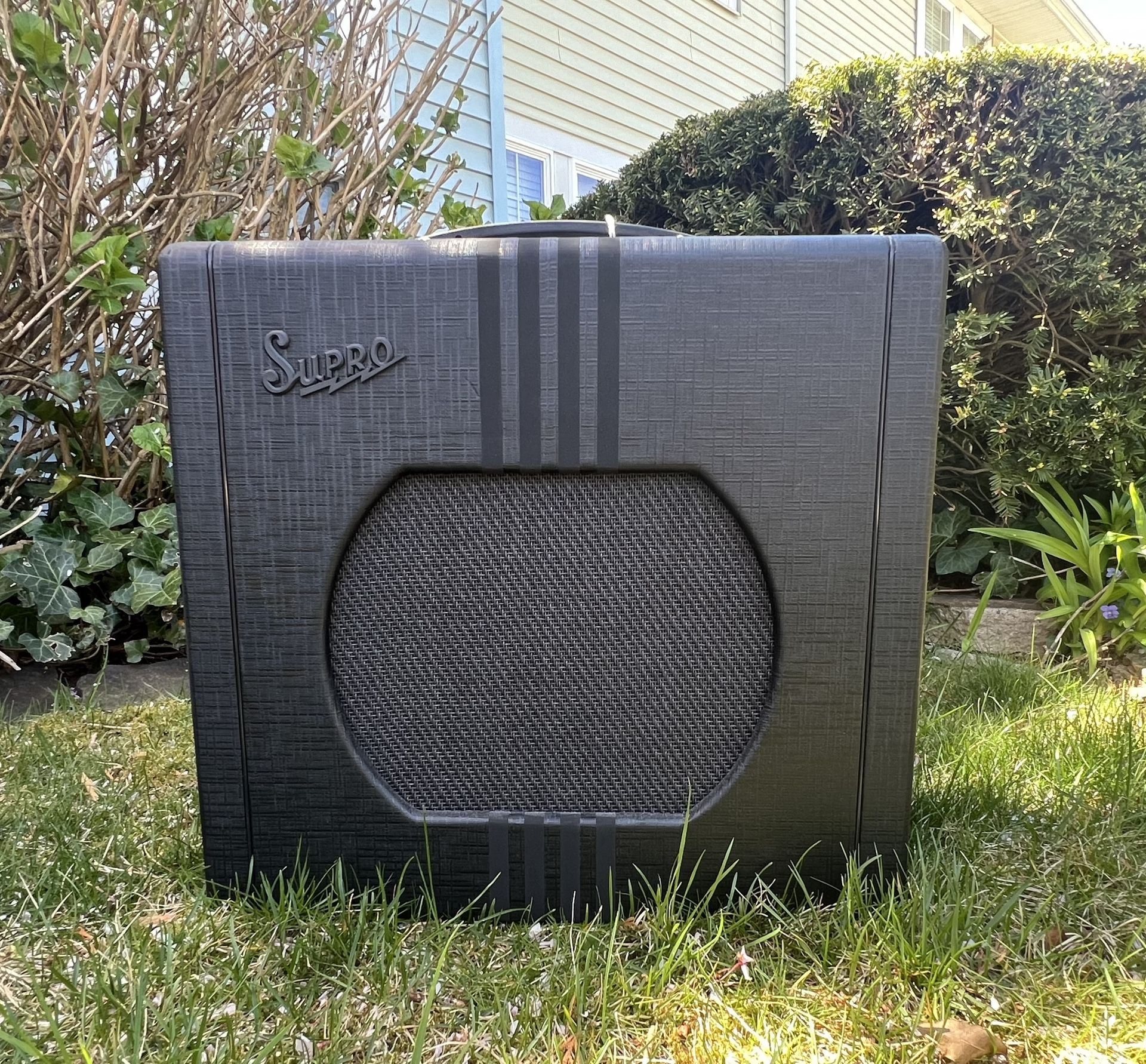 Supro Delta King 12 Guitar Amp