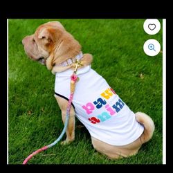 45 Dog shirts Packed Party Dog Hoodie Medium,  