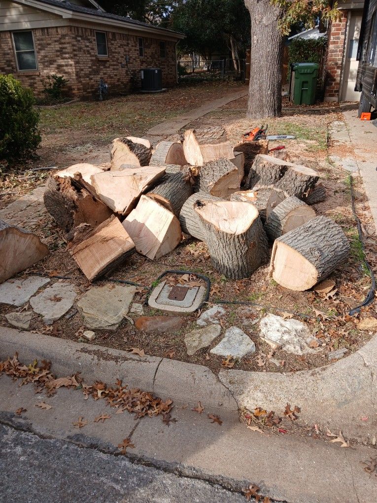 Free Firewood Hurst Tx