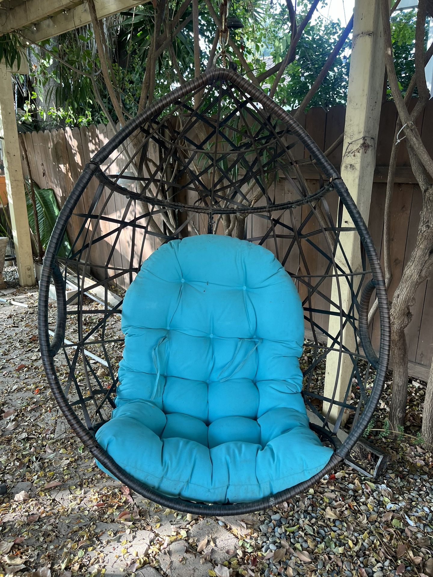 Backyard Hanging Egg Chair