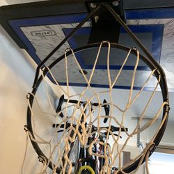 Lifetime Adjustable Portable Basketball Hoop