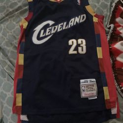 LeBron James Cleveland Jersey