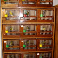 Jaulas  Para  Canarios 