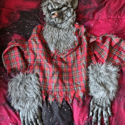 Kids Wolf Costume 