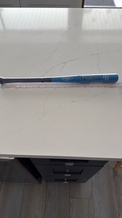 Louisville Slugger Tampa Bay Rays Mini Baseball Bat