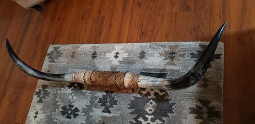 Longhorn Steer Horns