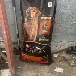 Dog Food/Comida Para Perro 