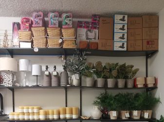 Plants Lamps Candles Comforters Blankes
