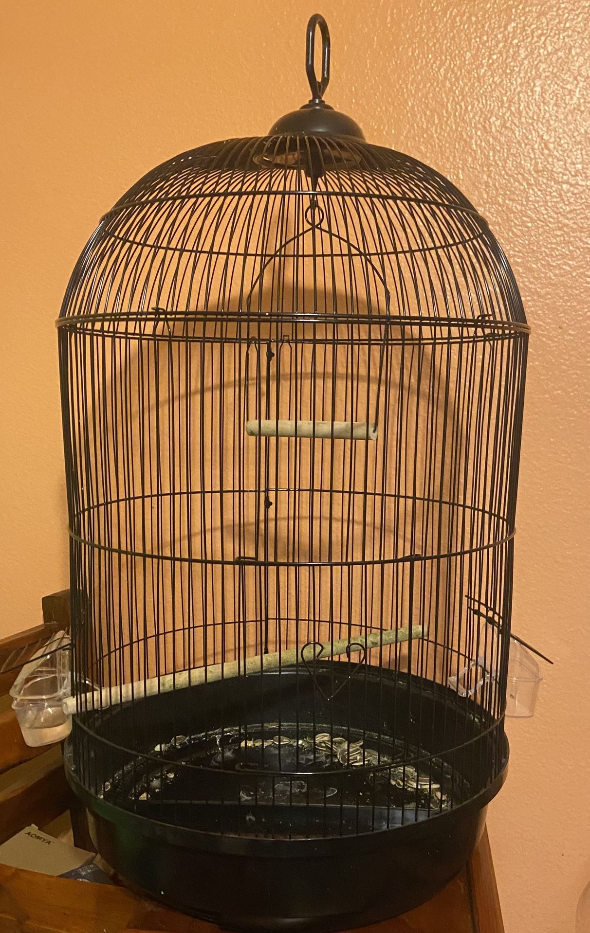 Bird Cage