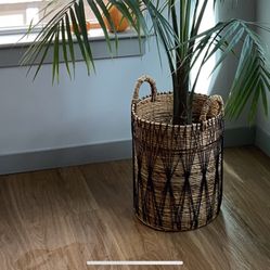 Hand-made Jute Basket For Large Plant