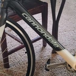 Cannondale Synapse Carbon Fiber Road Bike