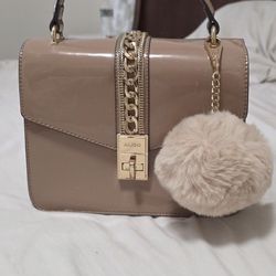 Aldo Purse