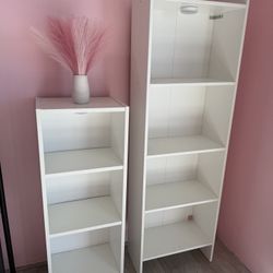 Book Shelves / Store Shelves 