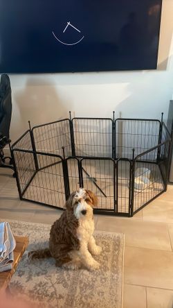 Puppy playpen