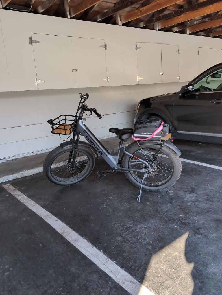 Electric Bike