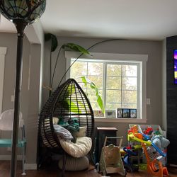 Free Birds Of Paradise Plant Large