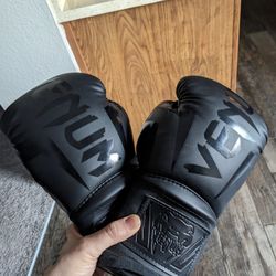 Venum Boxing Gloves