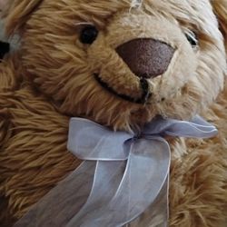 Therapy Comfort Club Bear Plush 