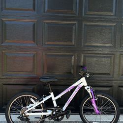 Specialized Hotrock Mountain Kids Bike 20”