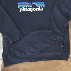Patagonia Hoodie Men Large Unisex