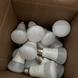 38 Philips Hue A19 White Smart LED Bulbs