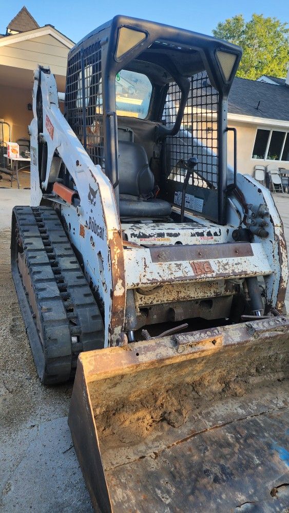 Bobcat