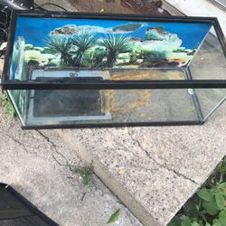 Tank for Lizard Or Snake Etc