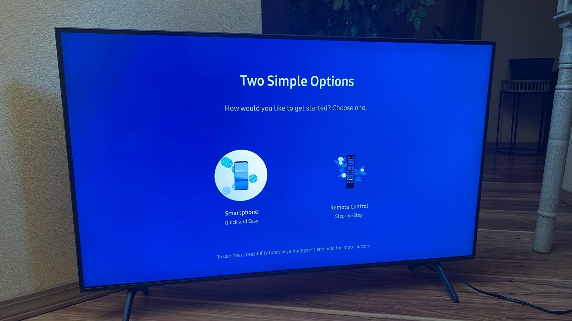 43’ Diagonal Samsung Smart TV