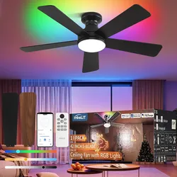 Homlit
42" RGB Ceiling Fan with Light, App & Remote Controlled Flush Mount Ceiling Fan, Music Sync Lighting, 6-Speed