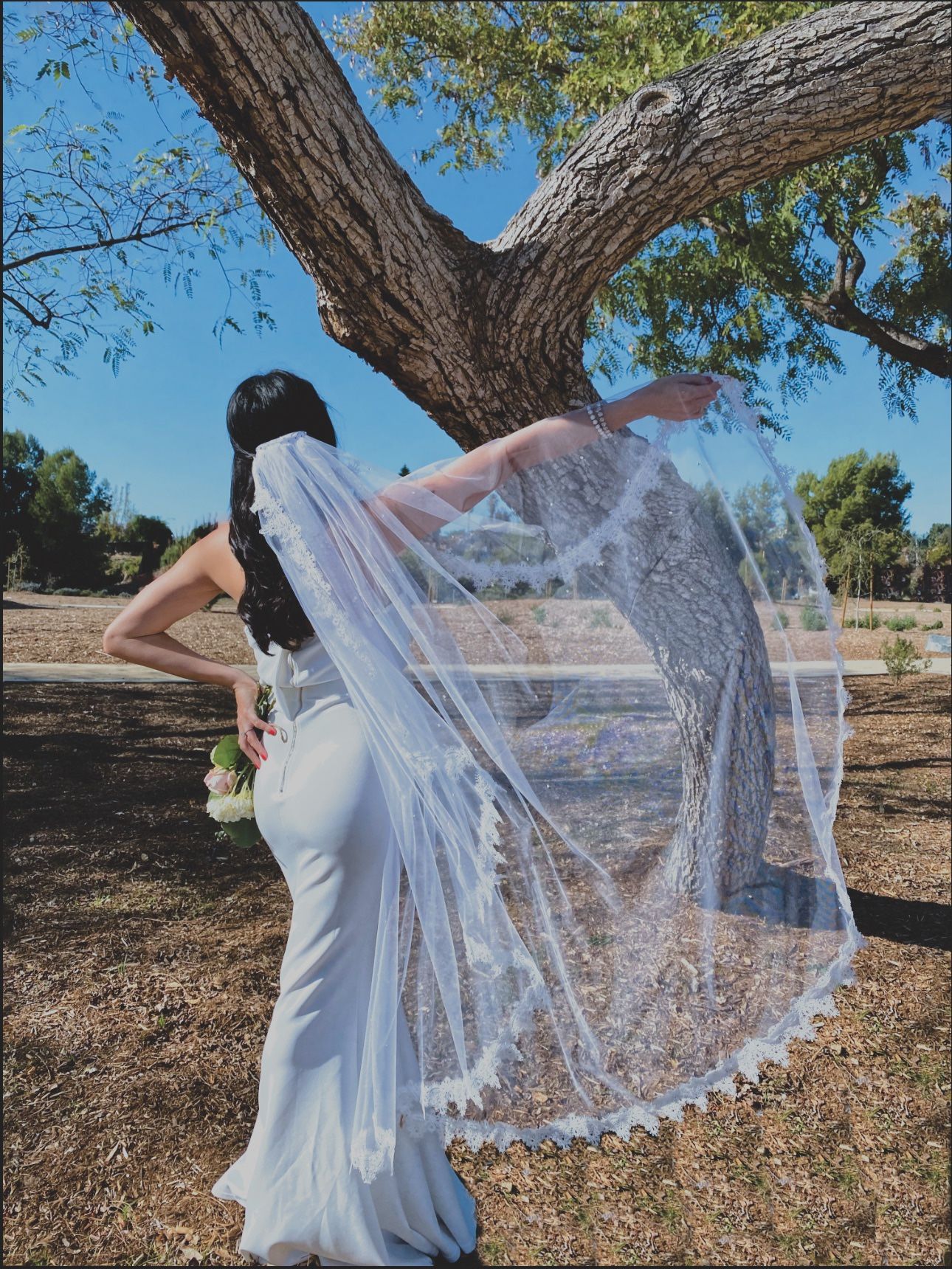 Lace Edge Wedding Veil
