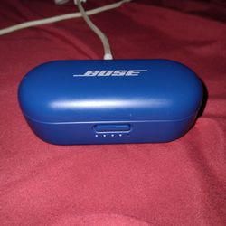 Bose charging case only