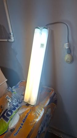 Free Lamp