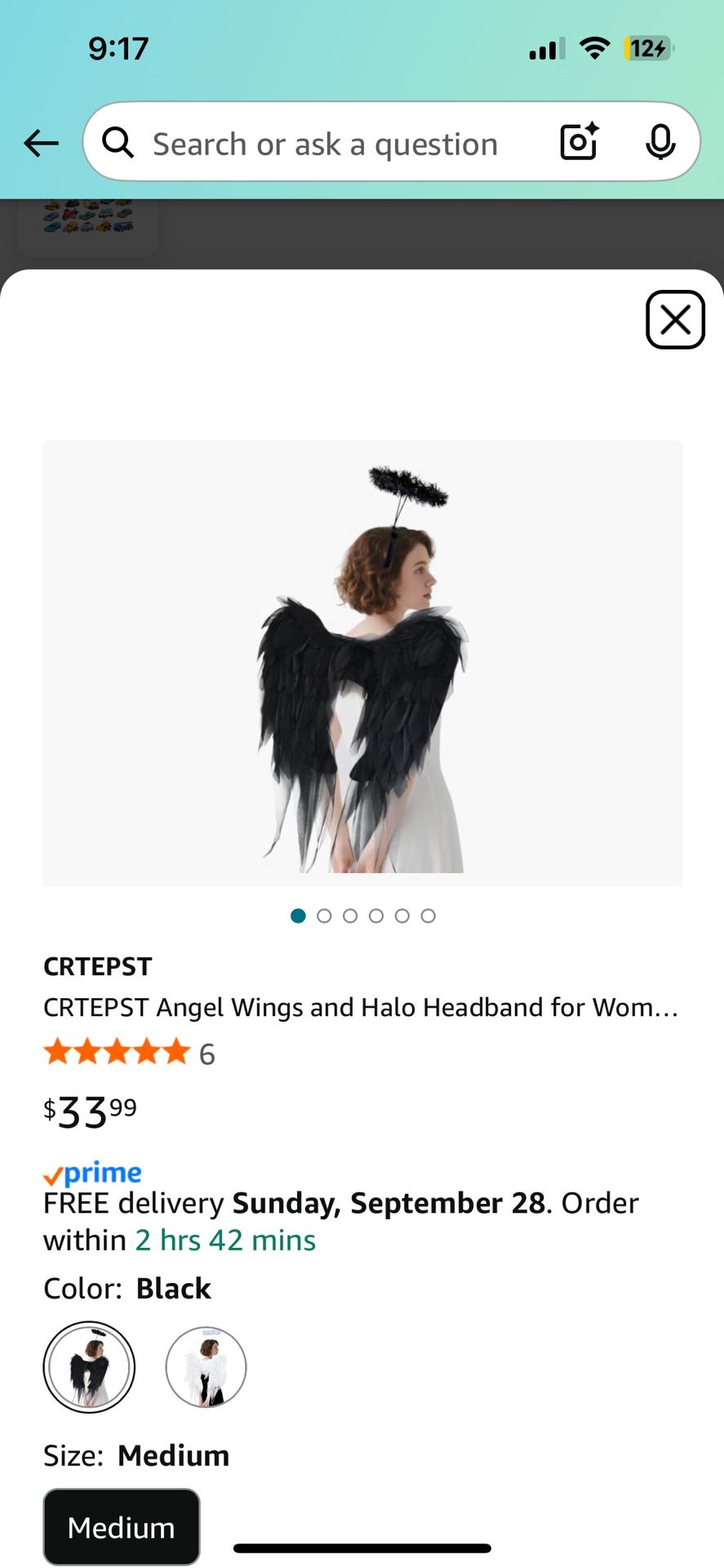 Black Wings Halloween Costume