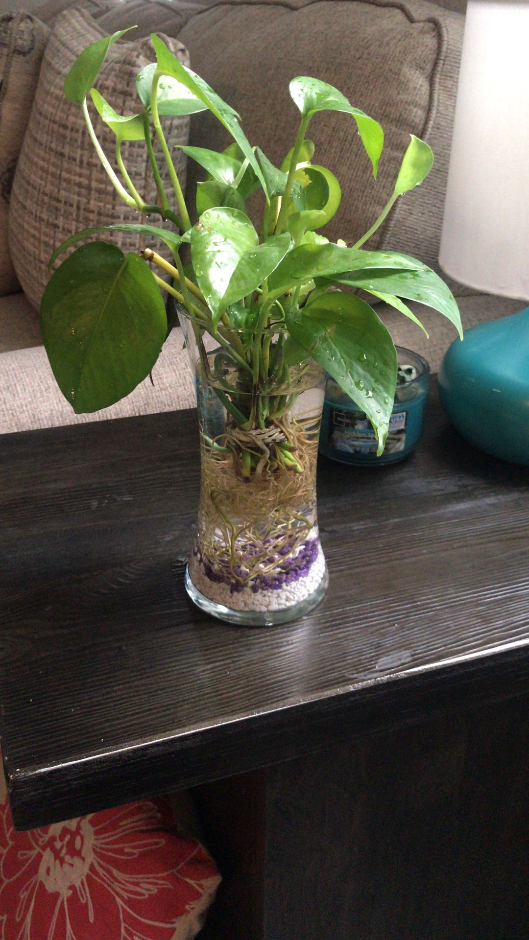 Plant with vase