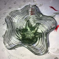Art glass bowl