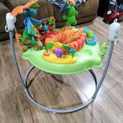 Fisher-Price Jumperoo Bouncer