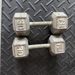 30lb Dumbbells 