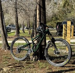 Stumpjumper 15 Pro 2025