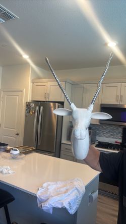 Iron Buck Head